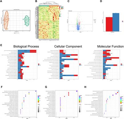 Comprehensive Analysis of Quantitative Proteomics With DIA Mass Spectrometry and ceRNA Network in Intrahepatic Cholestasis of Pregnancy